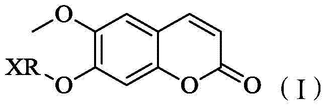 Scopoletin derivative as well as preparation method and application thereof