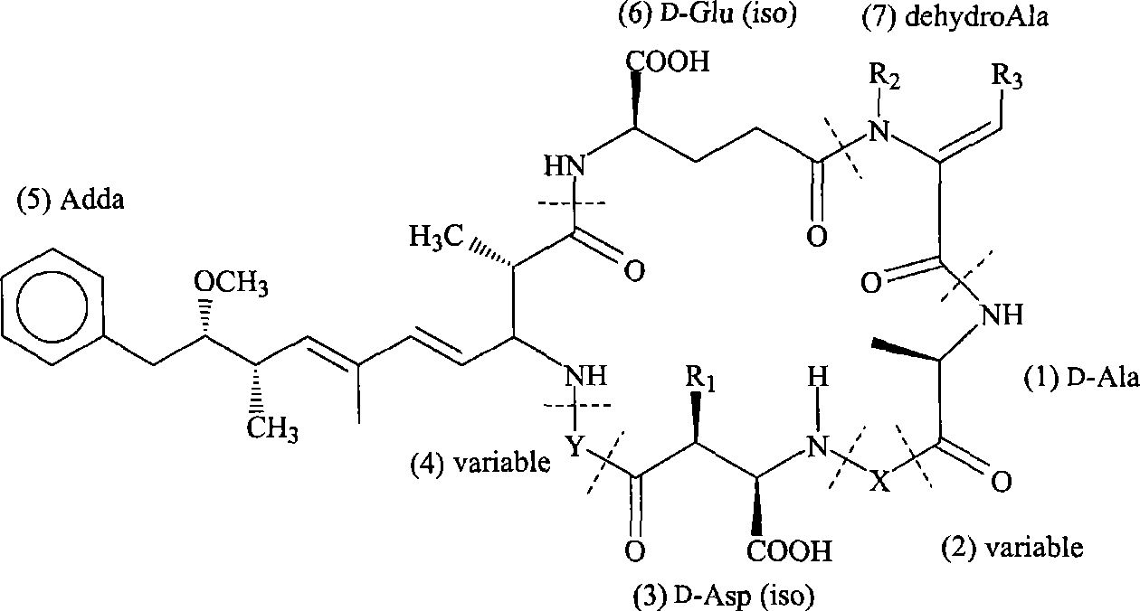 Method for high-sensitively detecting microcystin by employing dynamic light scattering