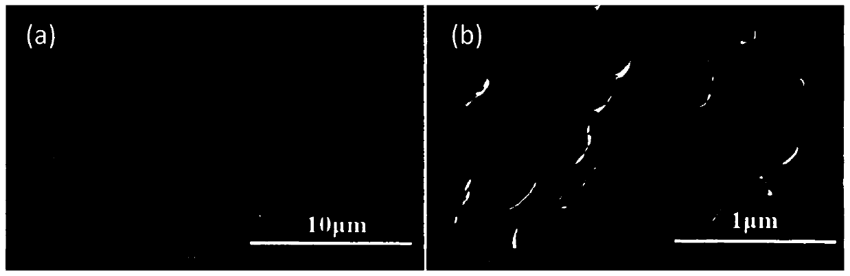 Fuel cell electrocatalytic porous gold electrode with sugar as raw material, preparation method thereof and application of fuel cell electrocatalytic porous gold electrode in artificial intelligence sensor