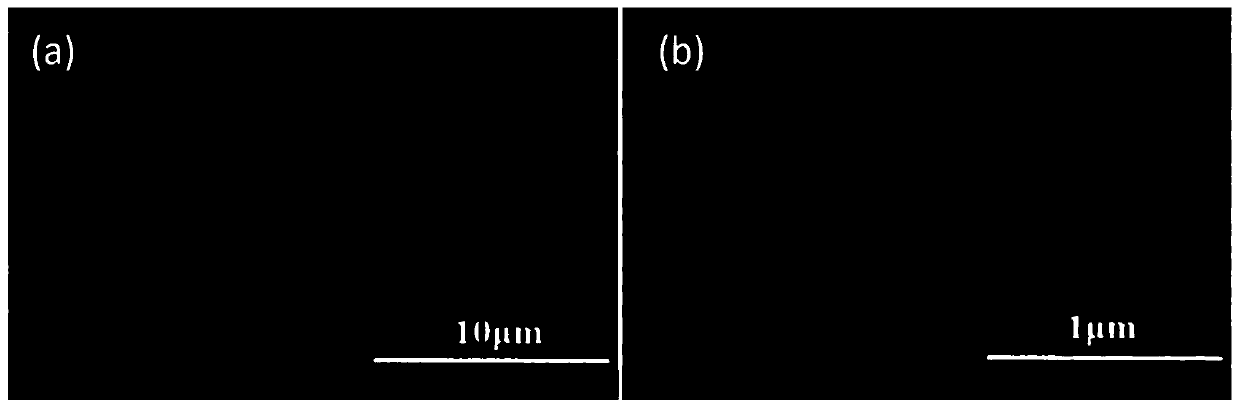 Fuel cell electrocatalytic porous gold electrode with sugar as raw material, preparation method thereof and application of fuel cell electrocatalytic porous gold electrode in artificial intelligence sensor