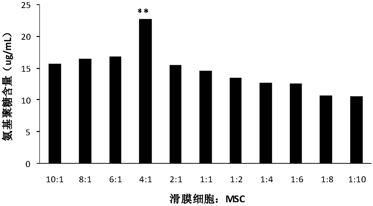 Mesenchymal stem cell preparation for repairing articular cartilage injury or coloboma, preparation method and application thereof