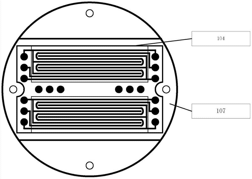 Detection device for electrochemical immune biosensor and detection and analysis method