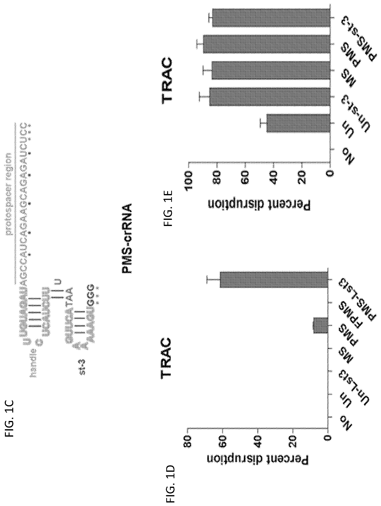 Compositions and Methods for Gene Editing in T cells using CRISPR/Cpf1