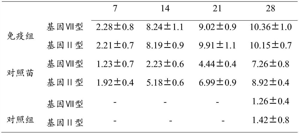 Newcastle disease virus vaccine