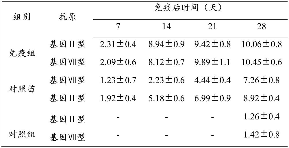 Newcastle disease virus vaccine