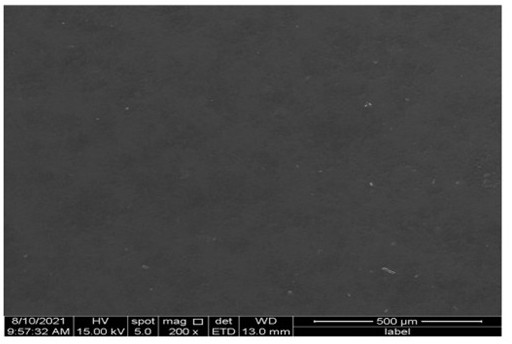 Degradable antibacterial antioxidant film and preparation method thereof