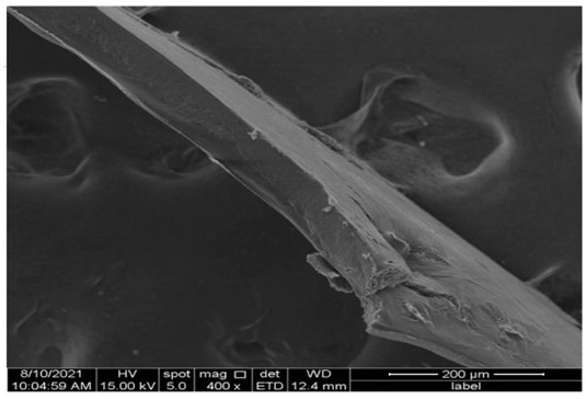 Degradable antibacterial antioxidant film and preparation method thereof