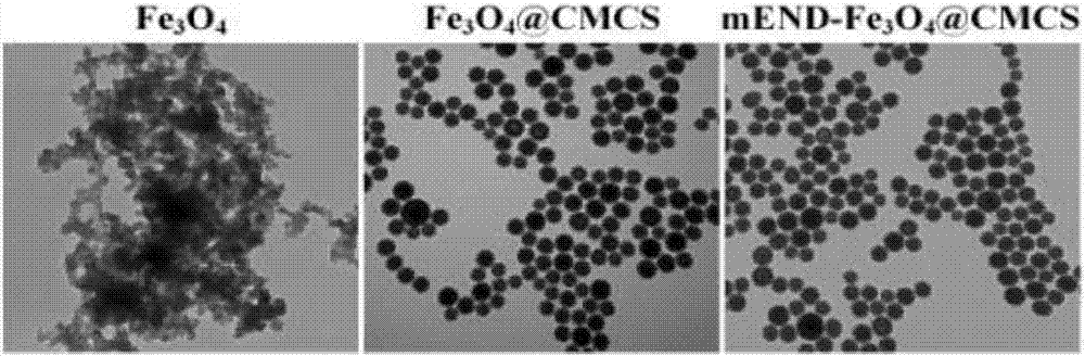 Method for preparing specific magnetic Endoglin aptamer imaging probe system