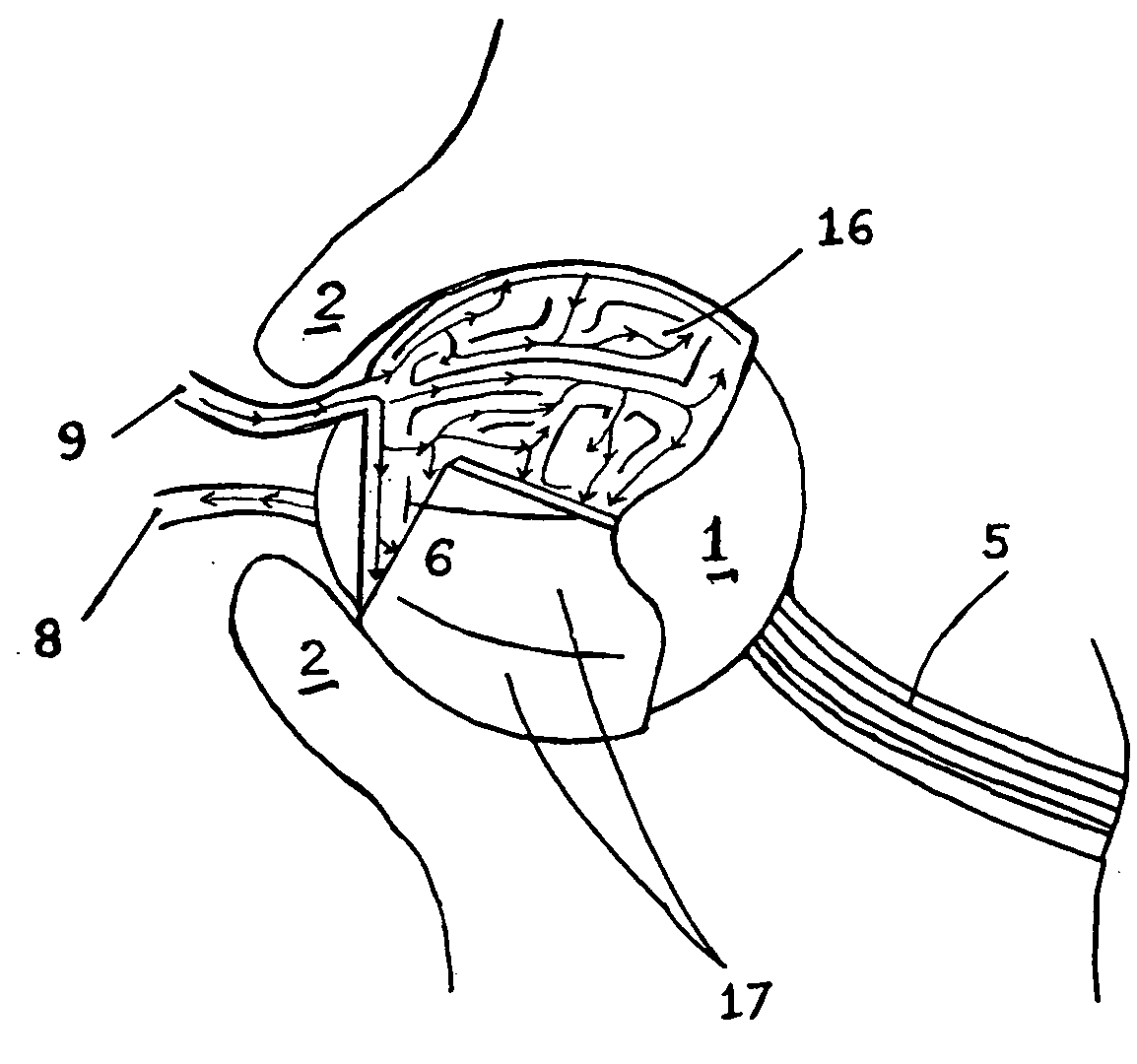 Medical device and method for temperature control and treatment of the eye and surrounding tissues