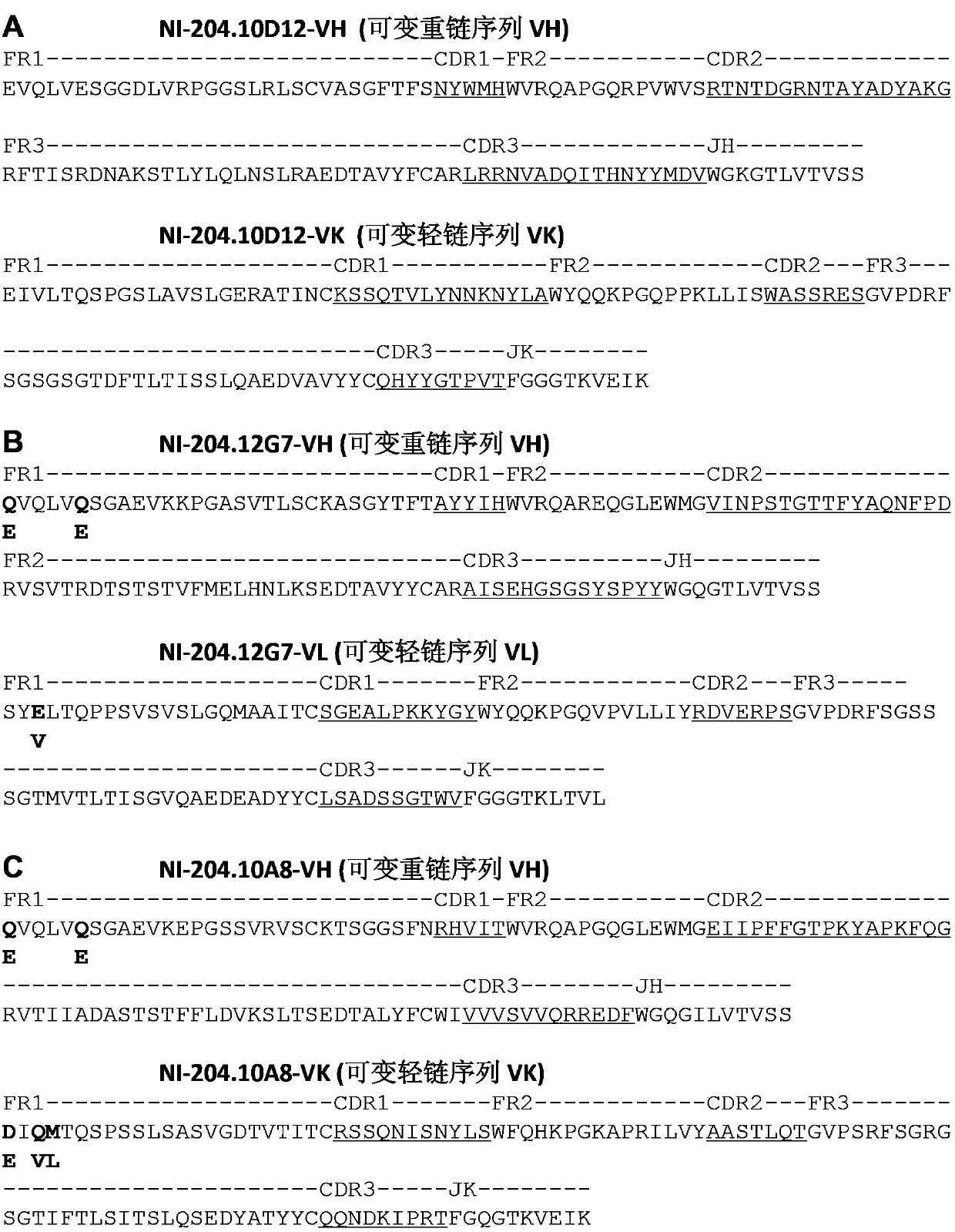 Human anti-SOD1 antibodies