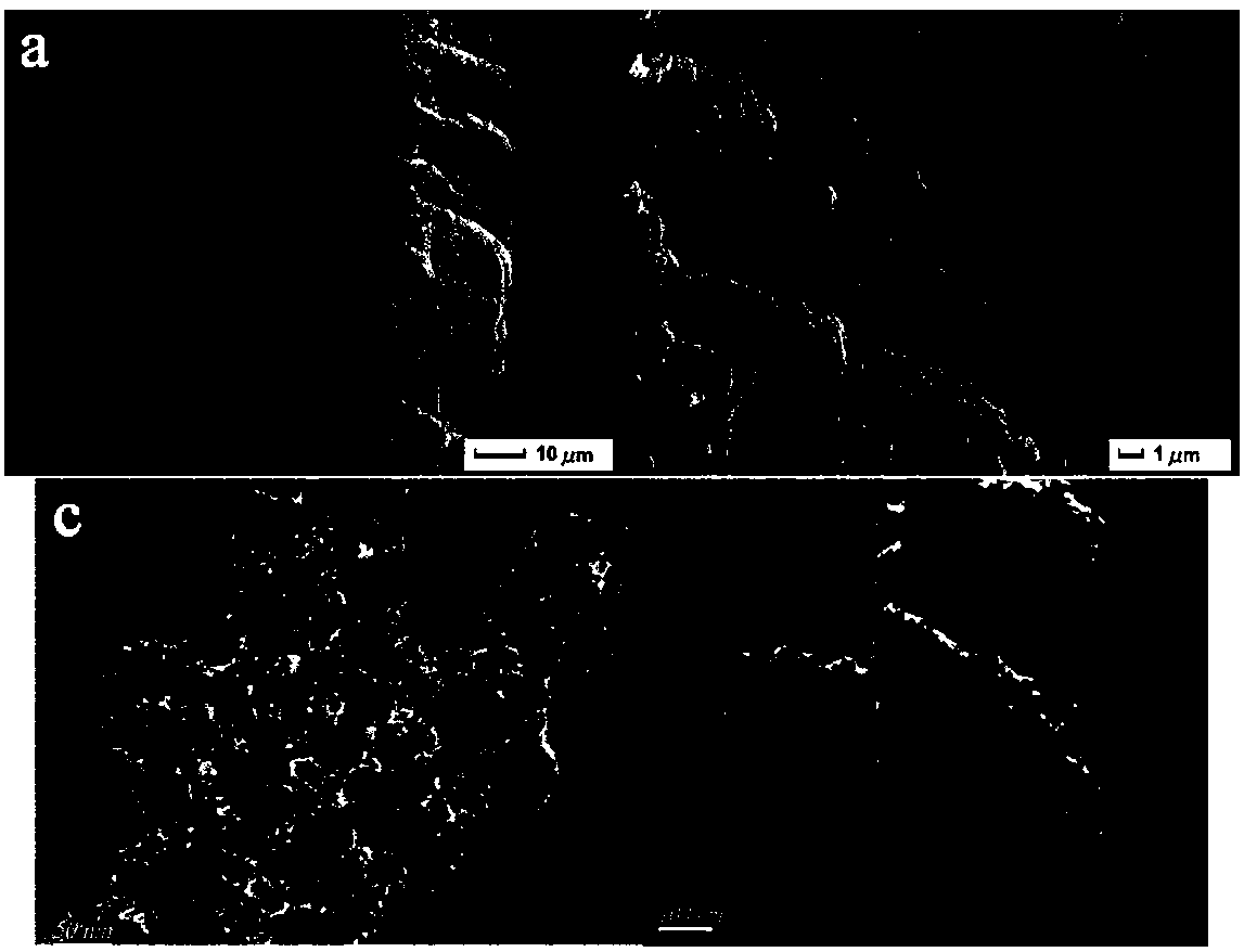 Preparation method and application of double-template-directed ion-imprinted mesoporous bilayer membrane