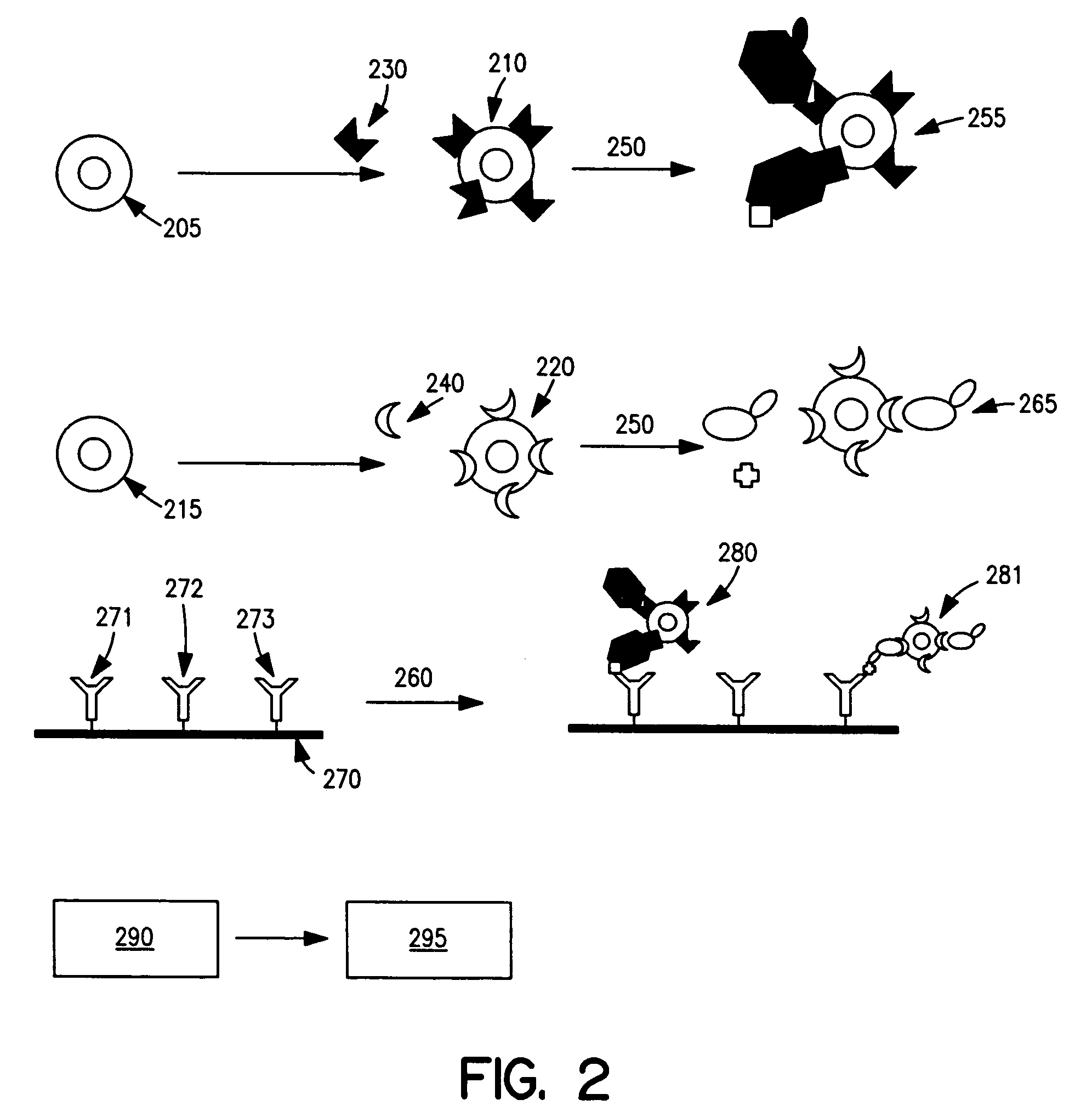 Biomolecule analysis using Raman surface scanning