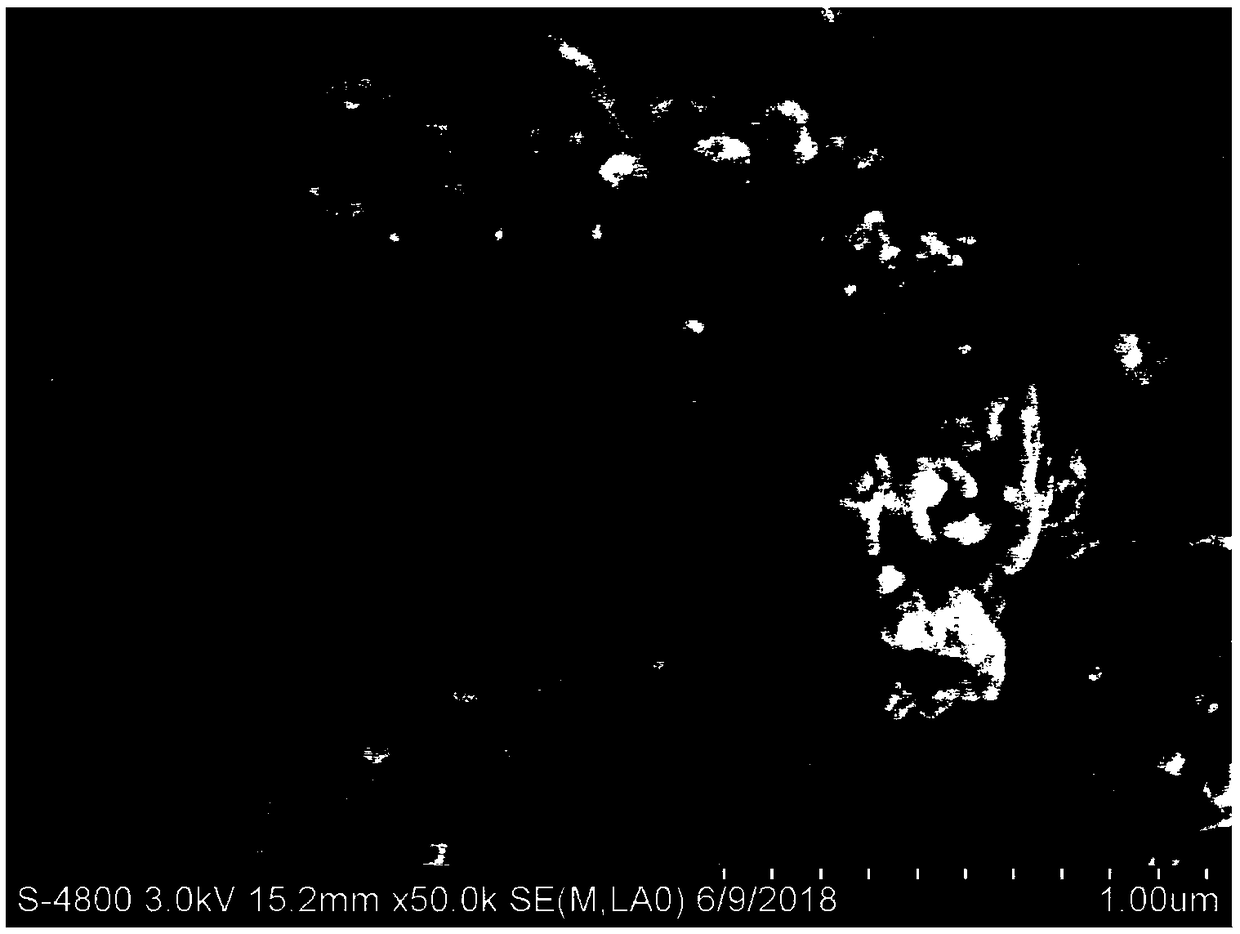 Hydrogen evolution reaction catalyst with layered mesoporous structure and preparation method of hydrogen evolution reaction catalyst