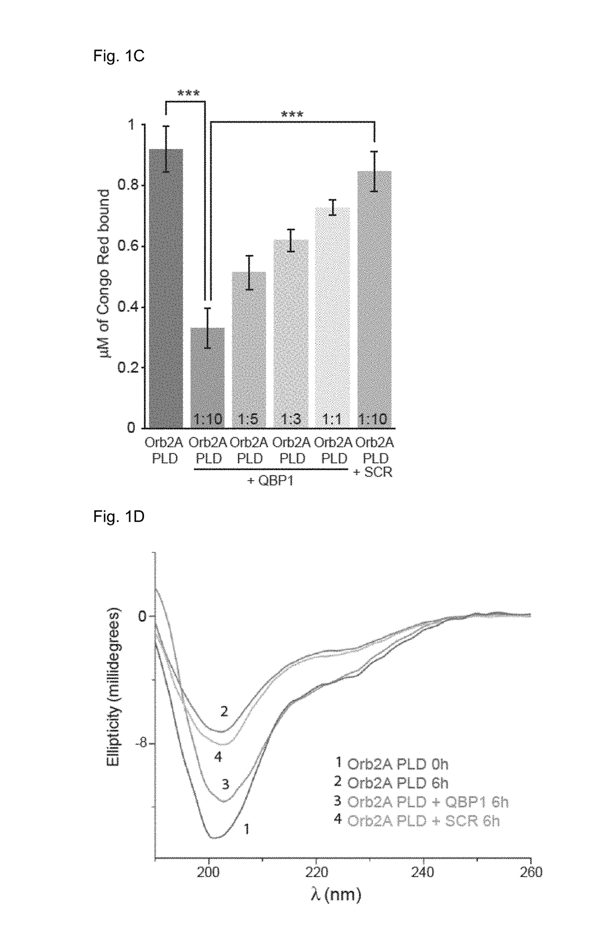 Use of qbp1 peptide for the inhibition of memory consolidation