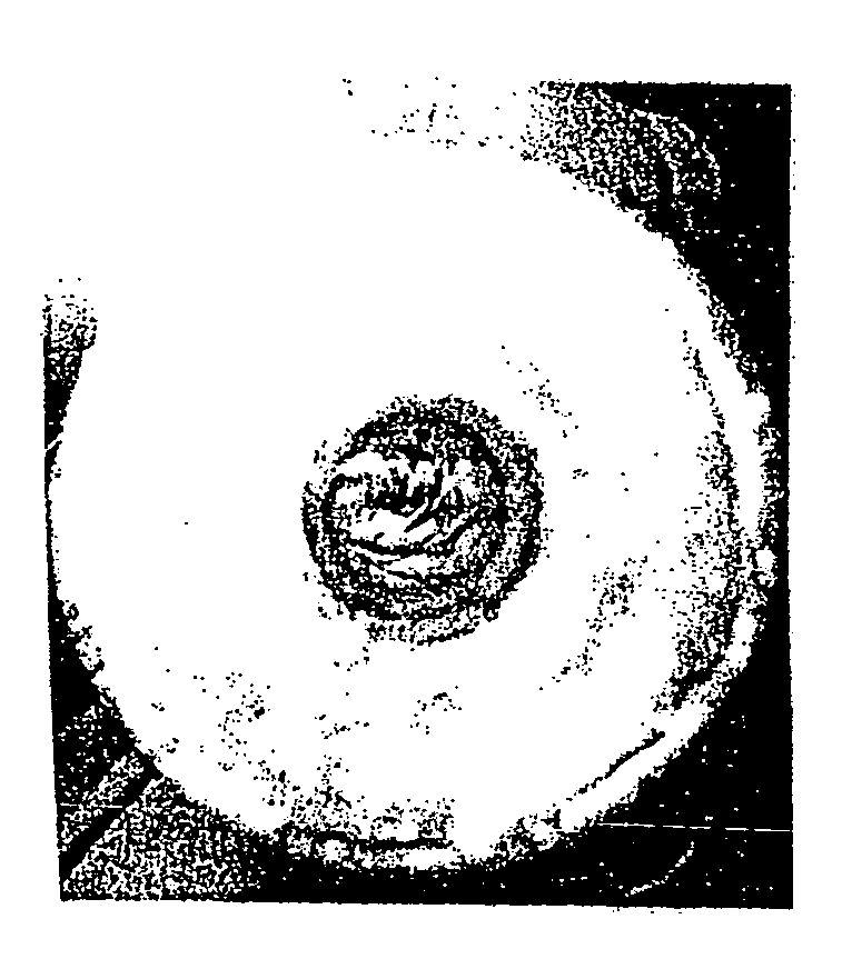 Gun barrel and method of forming