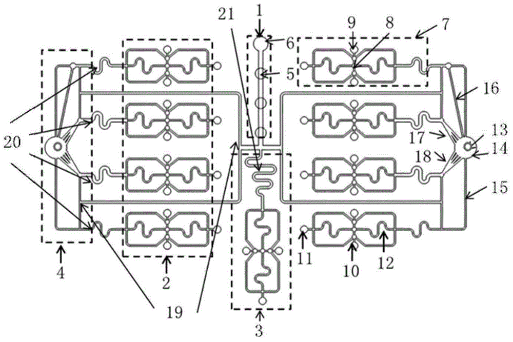 Self-set concentration gradient drug screening organ chip and preparation method thereof