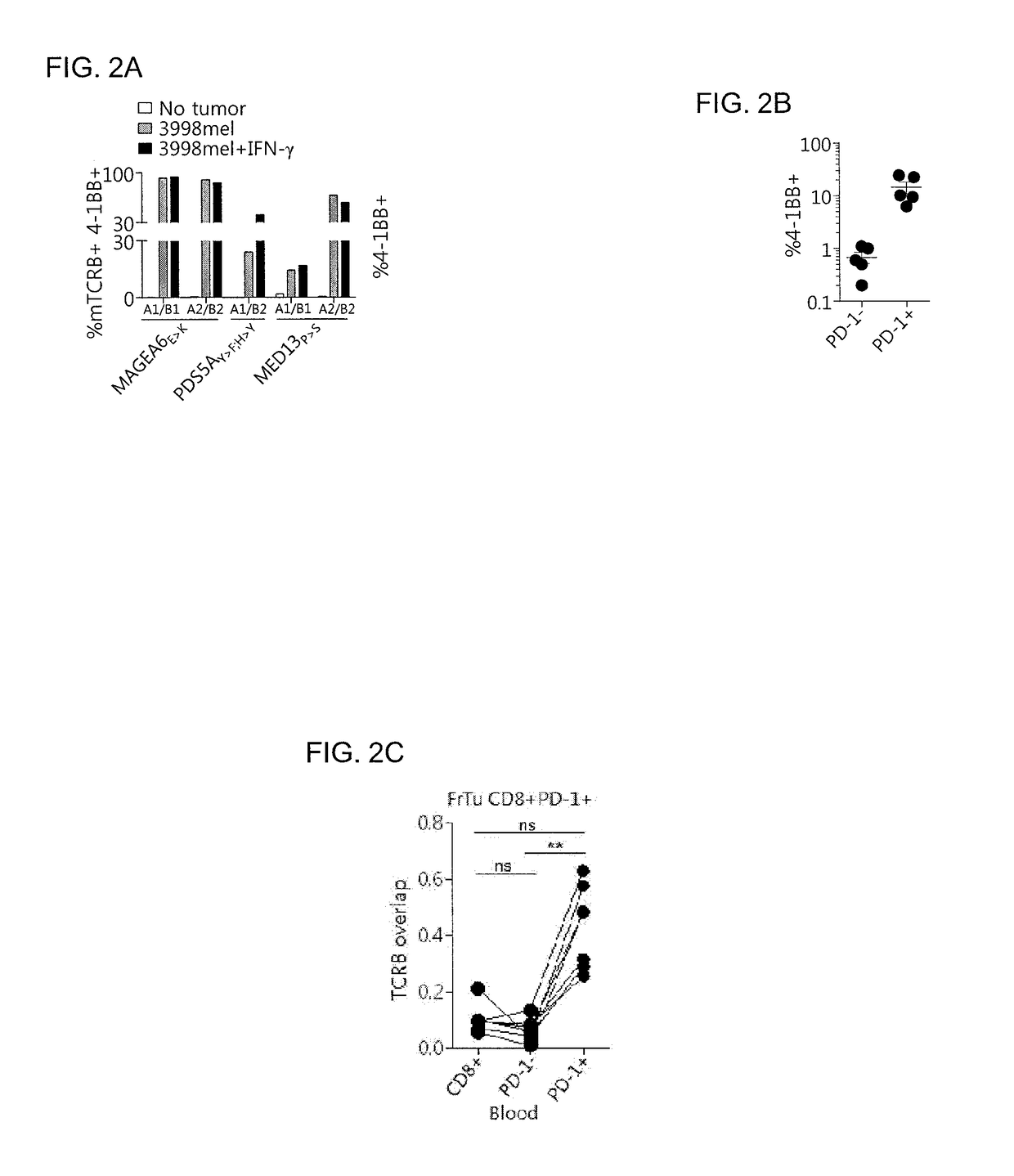 Methods of isolating t cells and t cell receptors having antigenic specificity for a cancer-specific mutation from peripheral blood