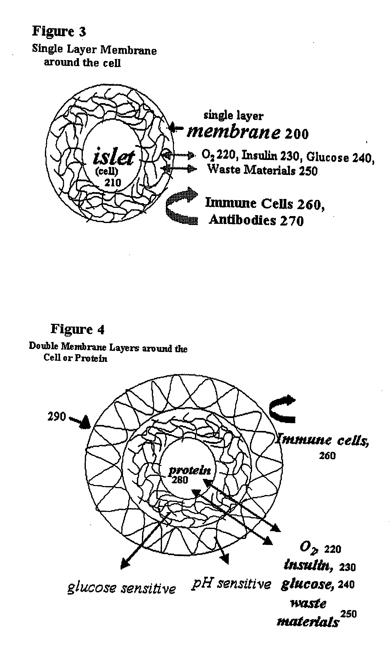 Method for the formation of hydrogel multilayers through surface initiated photopolymerization