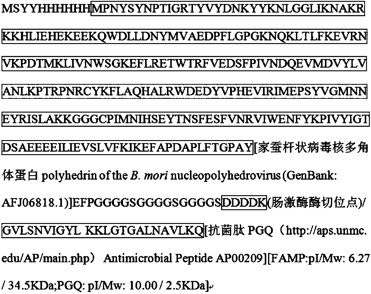 Silkworm hemolymph with anti-helicobacter-pylori activity, preparation method of silkworm hemolymph and application of silkworm hemolymph