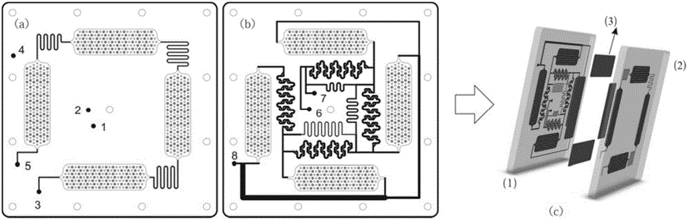 Micro-device for removing cell cryoprotective agent on basis of multistage dialysis method