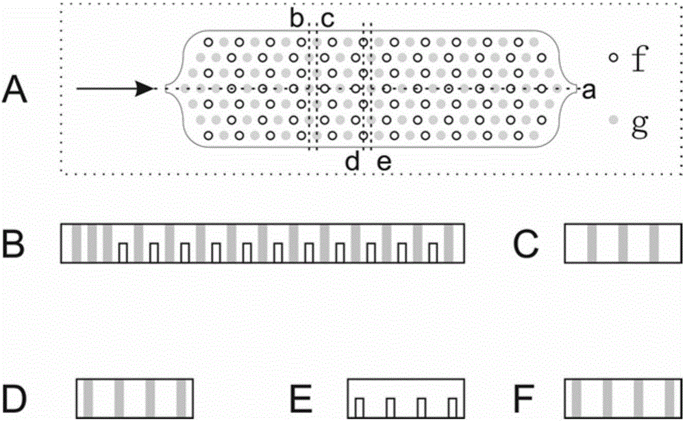 Micro-device for removing cell cryoprotective agent on basis of multistage dialysis method