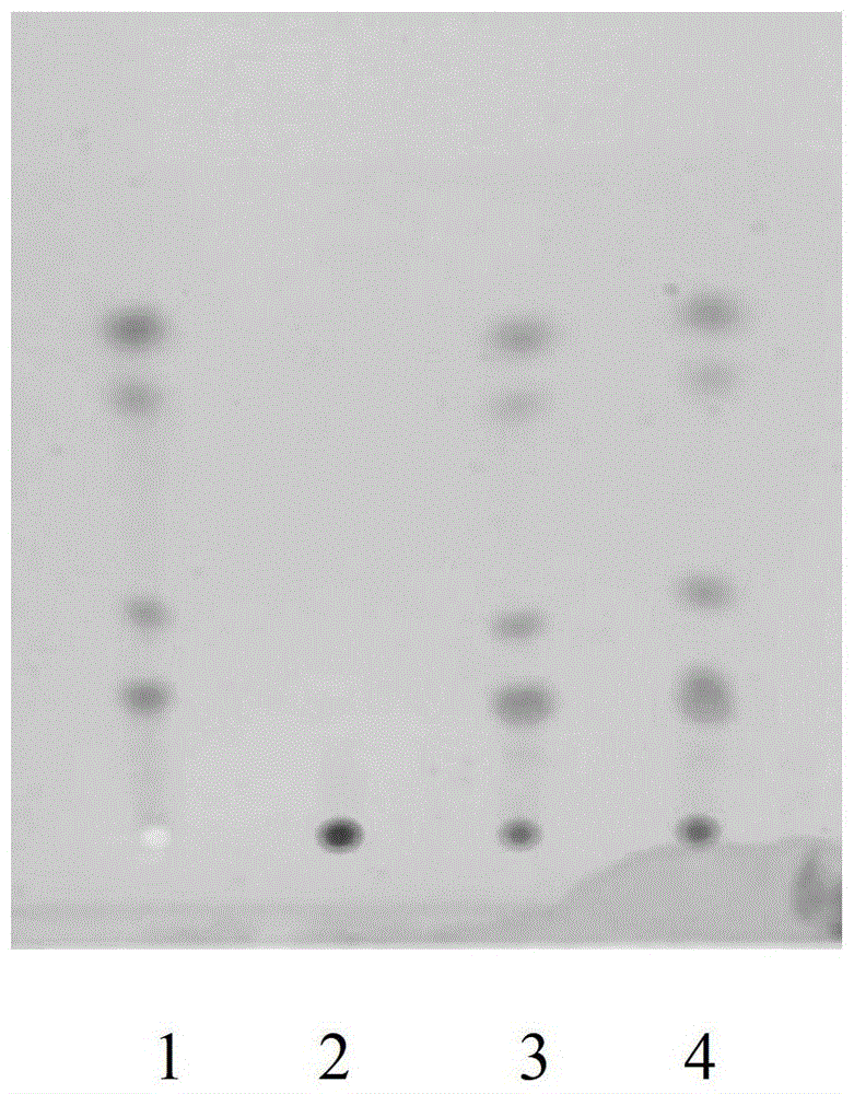 A kind of Sanhuang Xiexin Tang formula granule and its preparation method and detection method