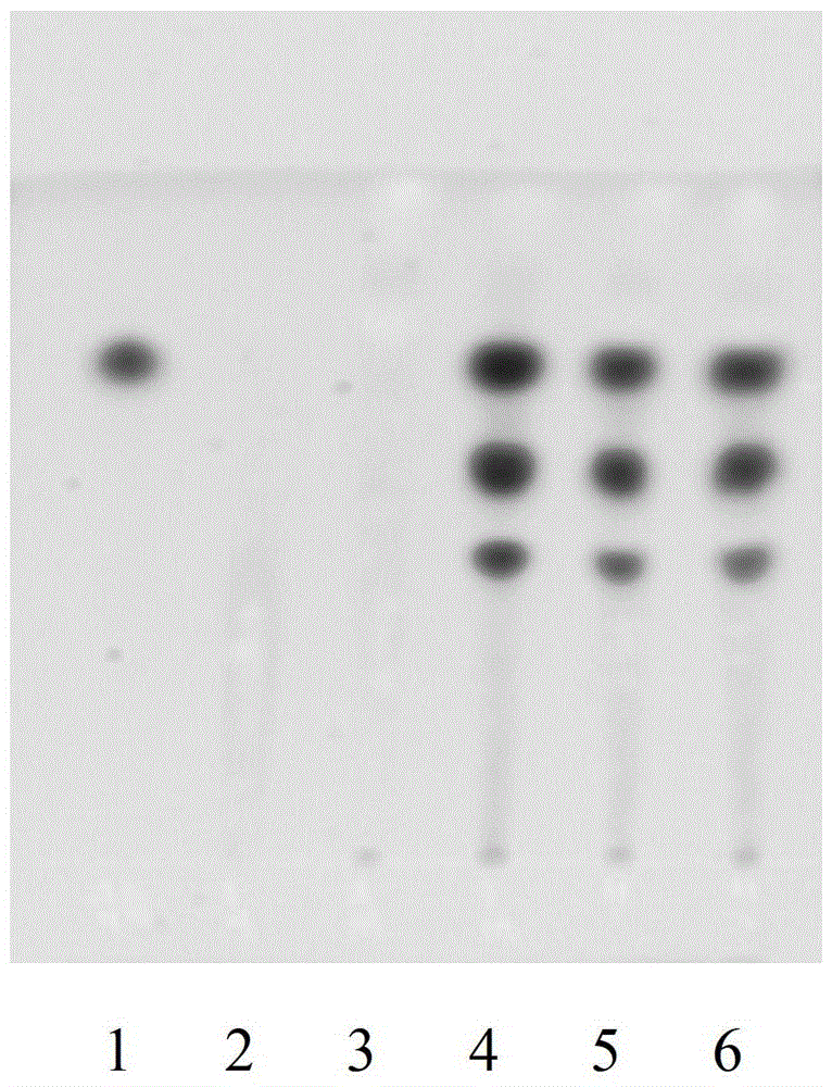 A kind of Sanhuang Xiexin Tang formula granule and its preparation method and detection method