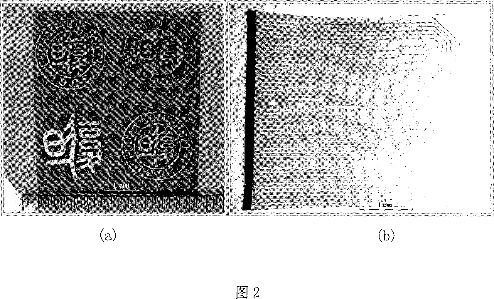 Metal wiring method based on mask print