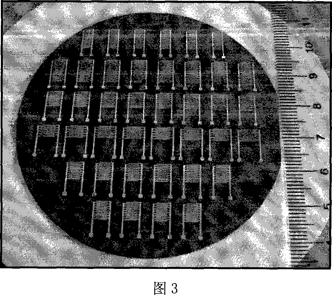 Metal wiring method based on mask print