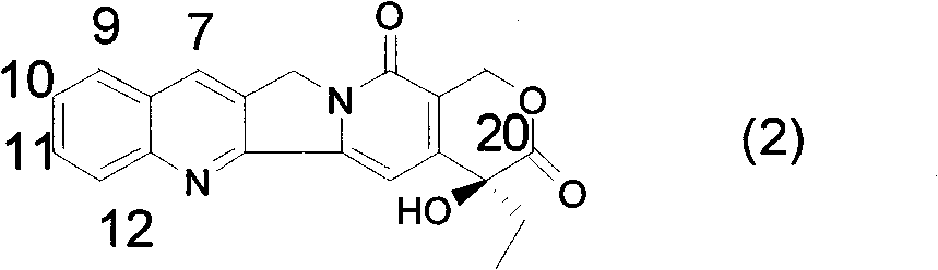 Method for synthetizing allyl-substituted camptothecin compound