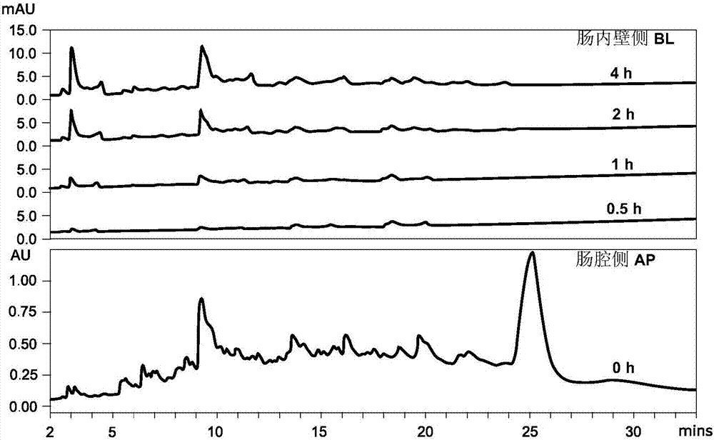 Ultrasonic sound assistant method for simulated digestion of casein active peptides and health food applications