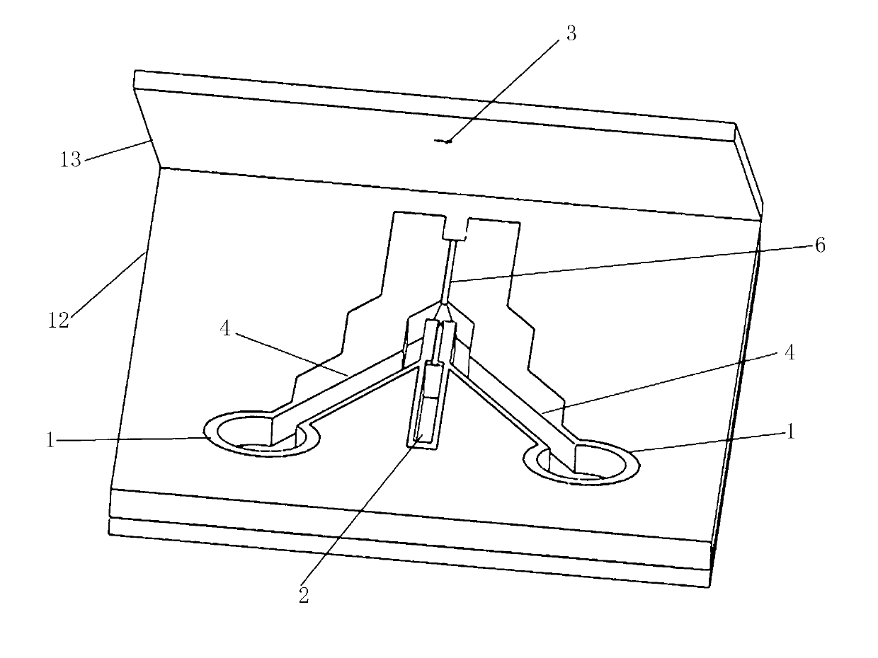 Micro-fluid cytometer and manufacture method thereof