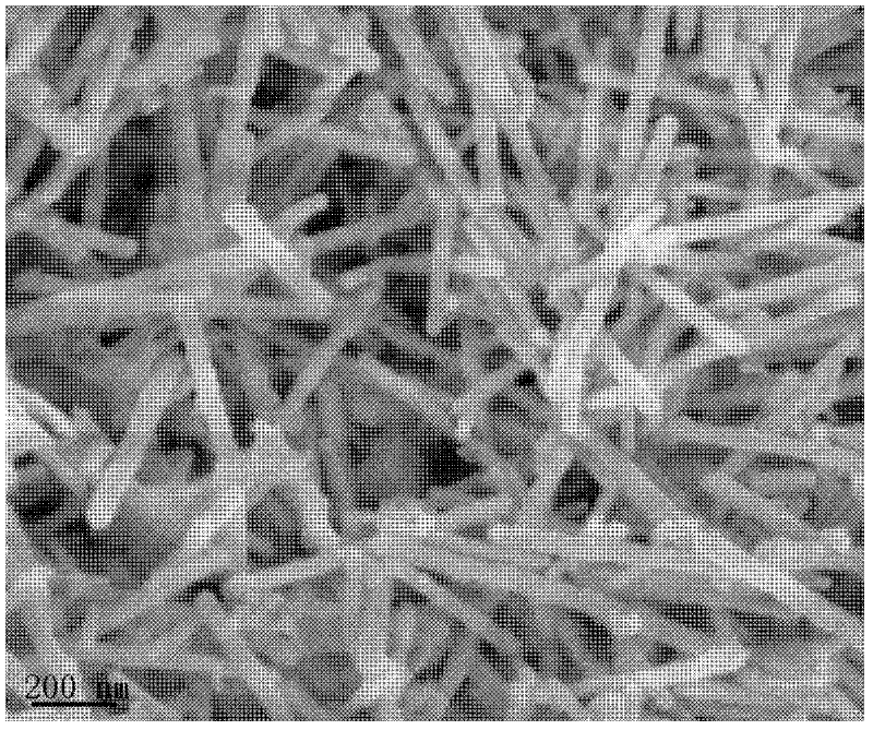 Preparation method of lamellar stannic sulfide/silicon oxide nuclear shell nanorod for lithium battery