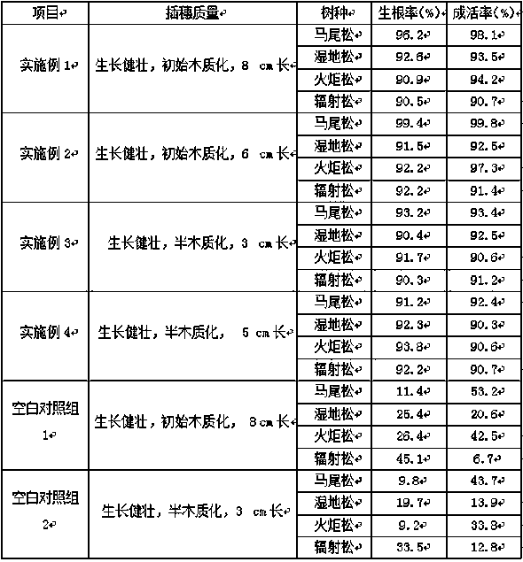 Pine cutting rooting agent, and preparation method and application method thereof