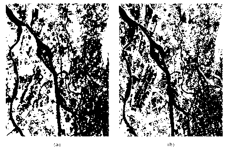 Automatic registration method for multi-temporal empty spectrum remote sensing image based on space comprehensive mutual information