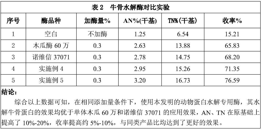 Special enzyme for hydrolyzing animal protein and preparation method thereof