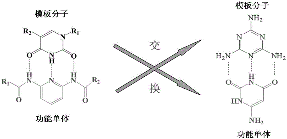 Polyhydrogen bond melamine core-shell molecularly imprinted polymer and preparation method thereof