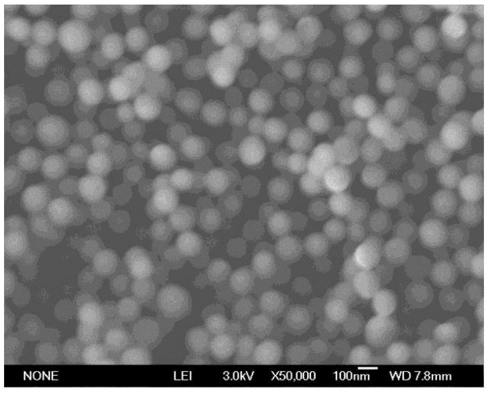 Polyhydrogen bond melamine core-shell molecularly imprinted polymer and preparation method thereof