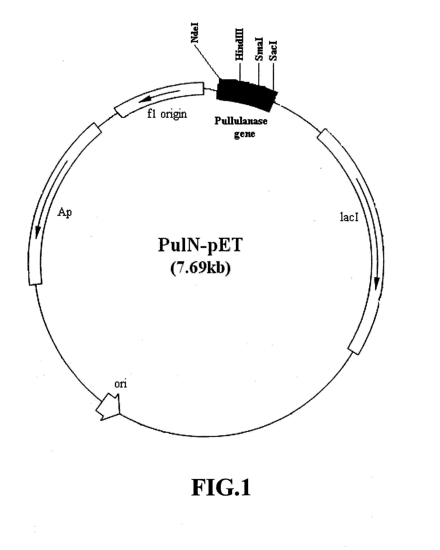 Single step liquefaction and saccharification of corn starch using an acidophilic, calcium independent and hyperthermophilic pullulanase