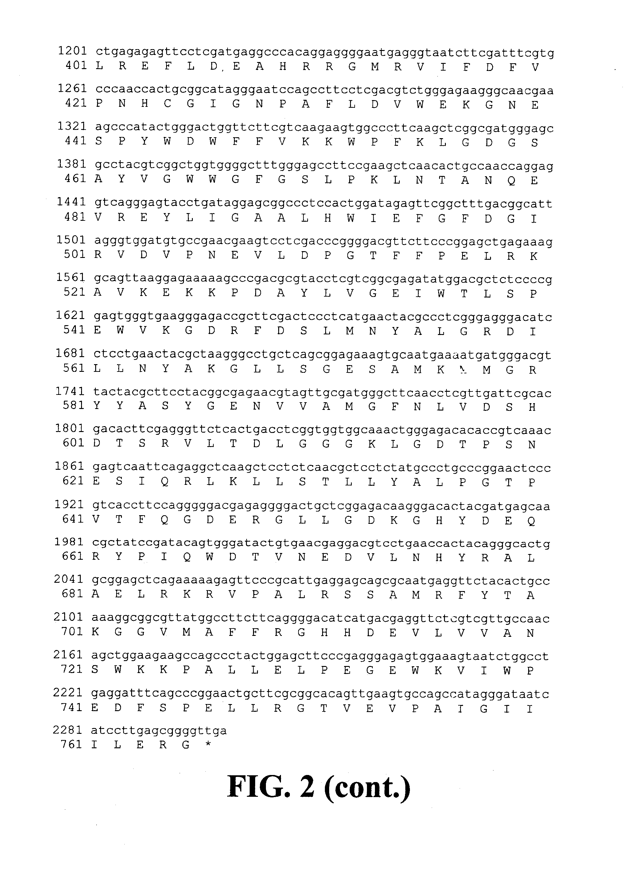 Single step liquefaction and saccharification of corn starch using an acidophilic, calcium independent and hyperthermophilic pullulanase