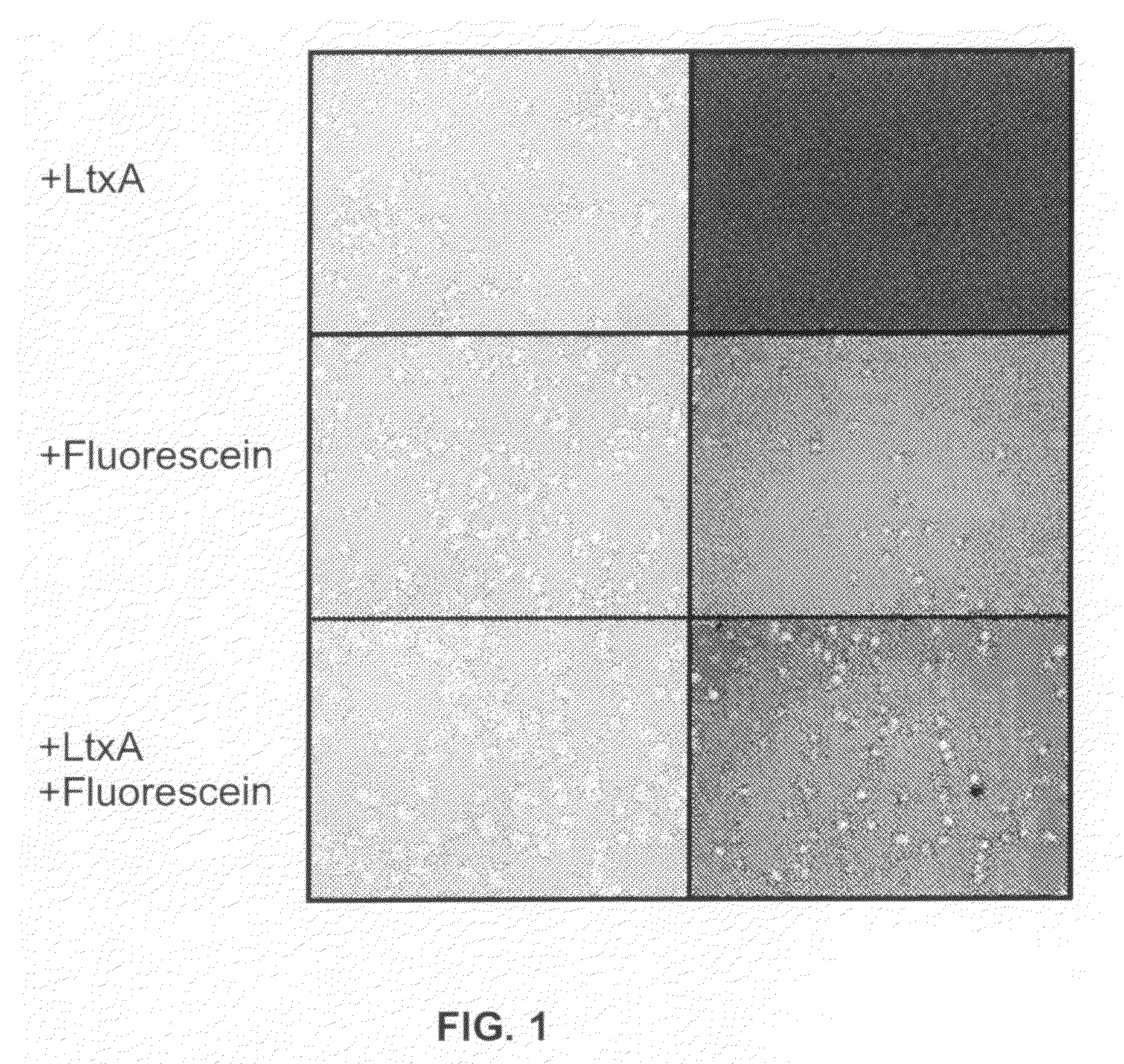 Compositions for the treatment of cancer, and methods for testing and using the same