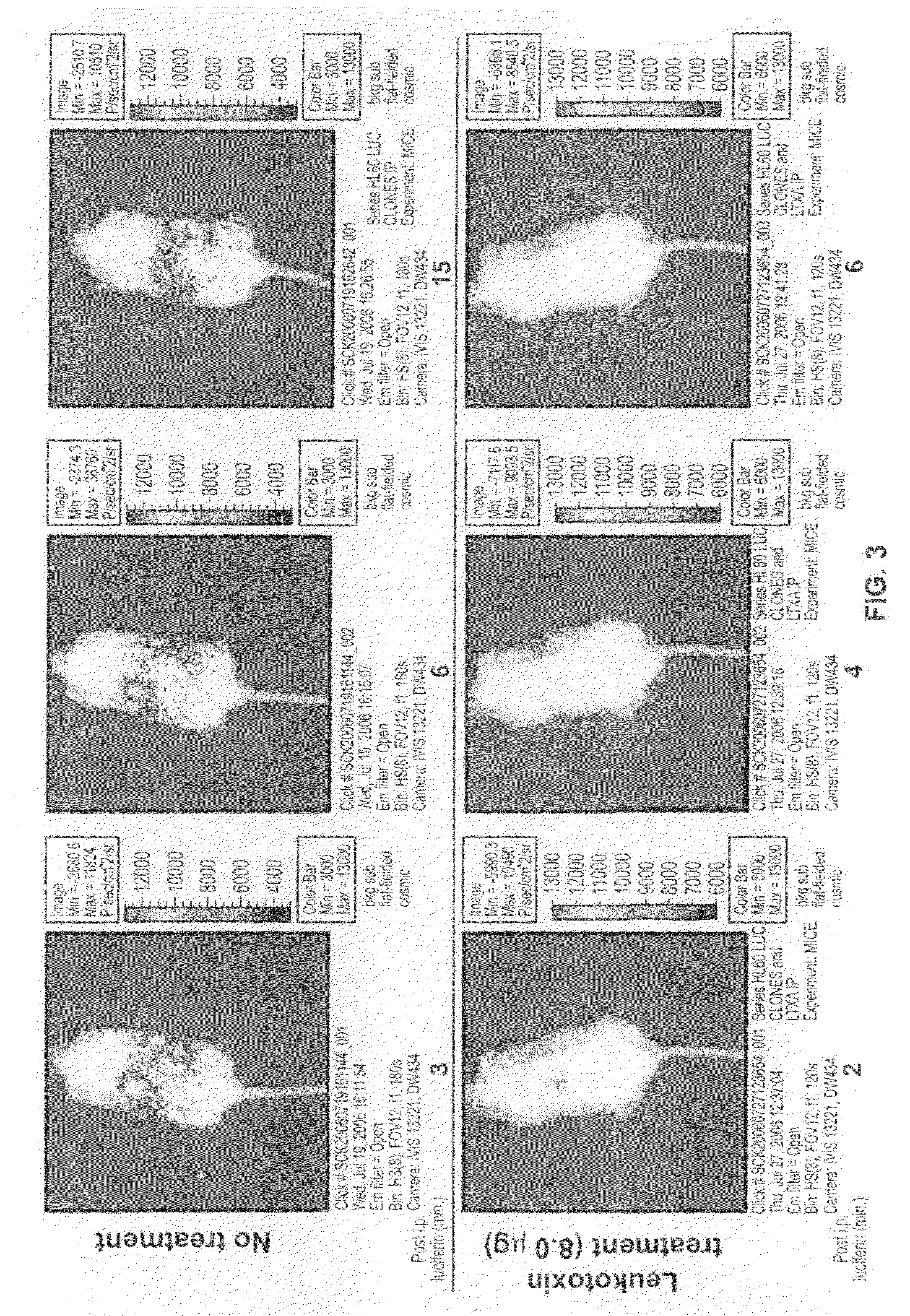 Compositions for the treatment of cancer, and methods for testing and using the same