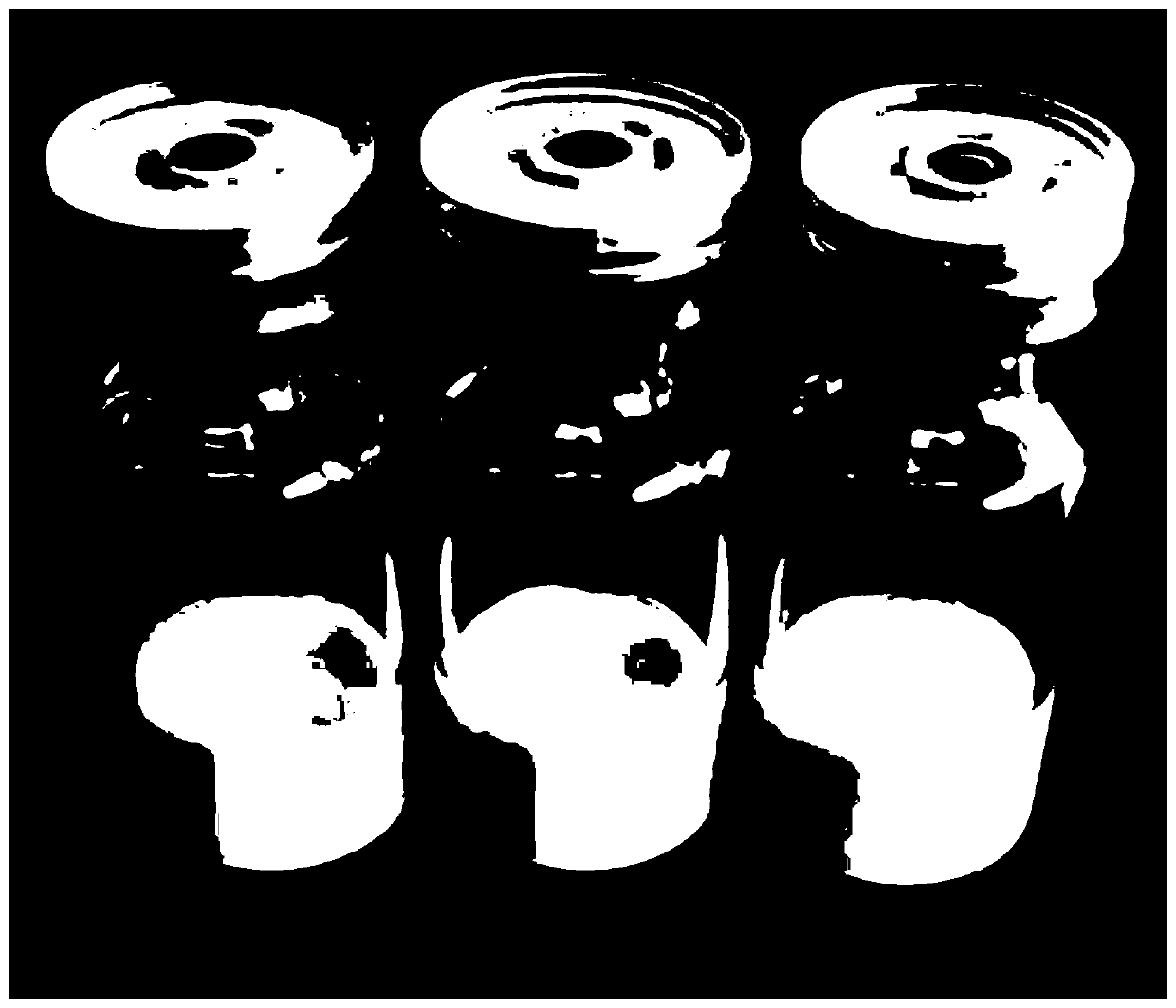 Freeze-dried powder having whitening activity and preparation method and application of freeze-dried powder