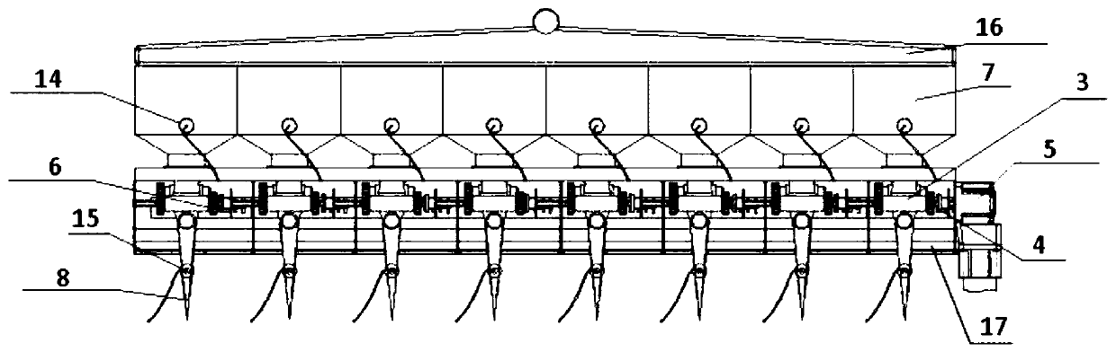 Automatic seeder