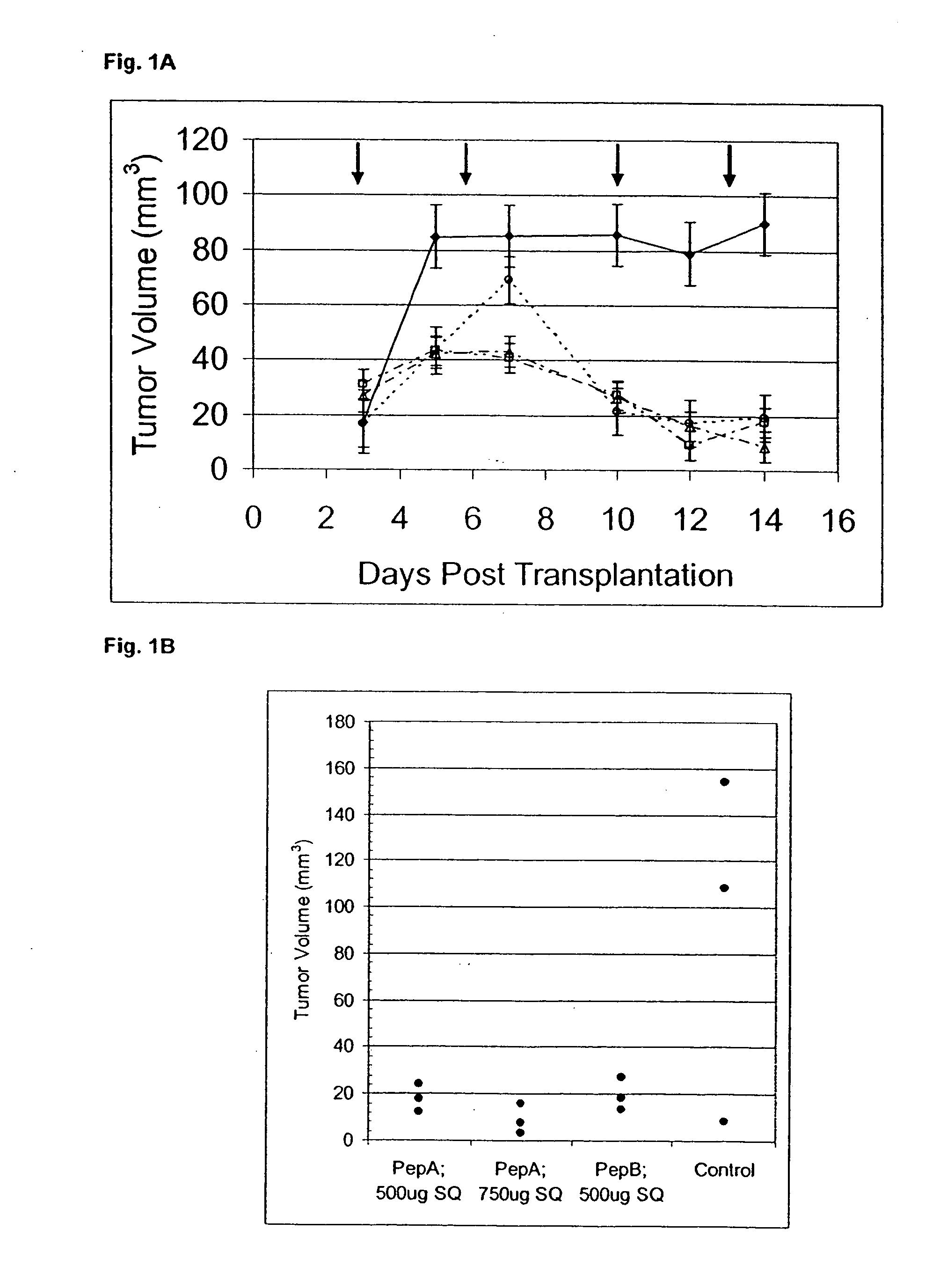 Anticancer peptide compositions