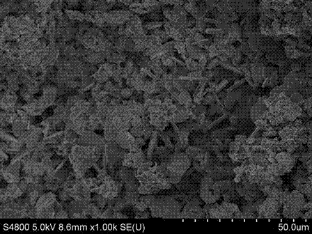 Porous heavy metal ion adsorbent based on biochar and preparation method of porous heavy metal ion adsorbent