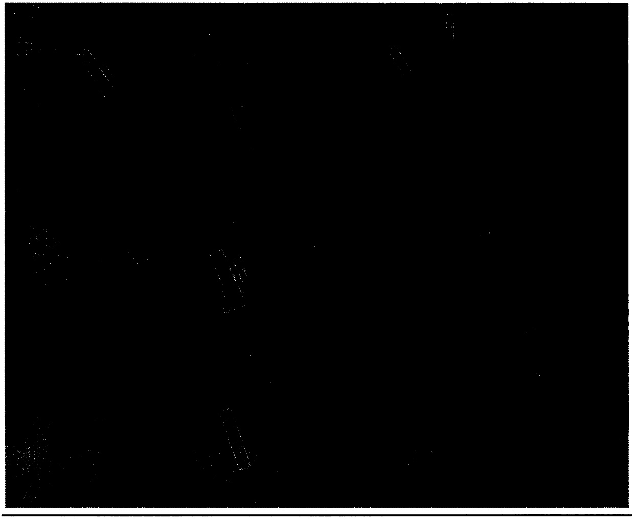 Multi-direction ship target detection and identification method in high-resolution remote sensing image