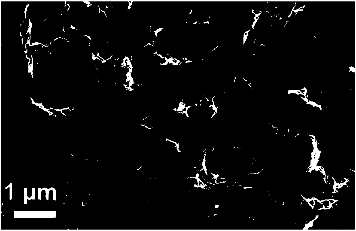 Nitrogen-doped porous graphene and preparation method thereof