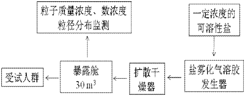 Method for simulating salt aerosol human body exposures and special device thereof