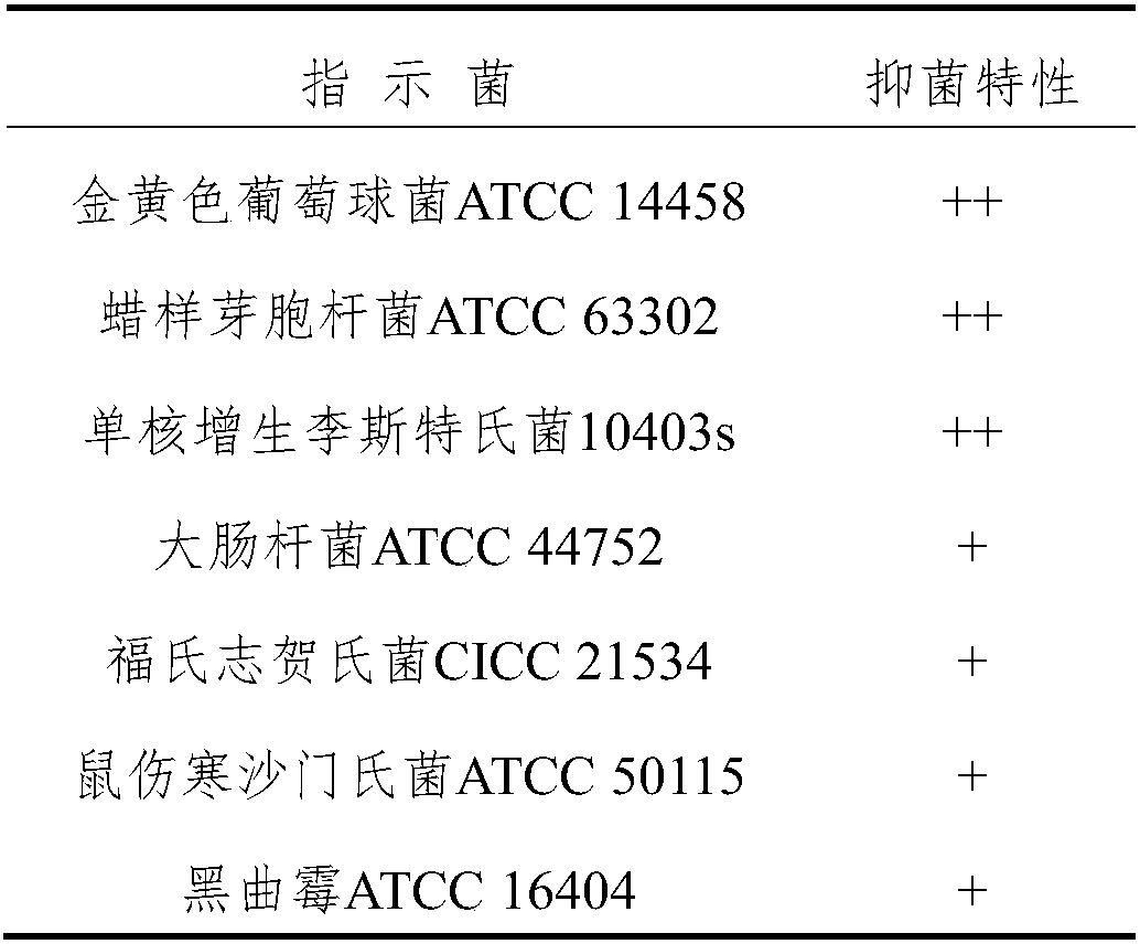 Synergist for promoting synthesis of brevibacillus laterosporus antimicrobial peptide and application of synergist